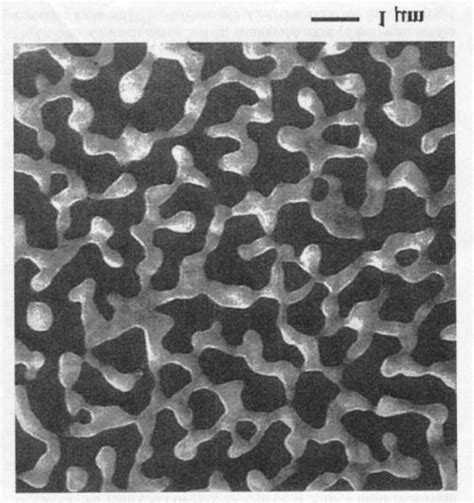 Sem Micrographs Of The Surface Morphology Of Uncapped Cvd Co Films On