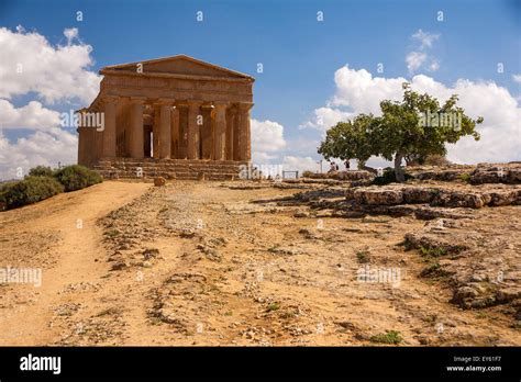 Agrigento Sicile Italie Temple De Zeus Et Olivier Photo Stock Alamy