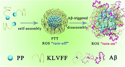 Target Driven Supramolecular Self Assembly For Selective Amyloid