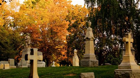 cemetery wallpaper background  halloween place
