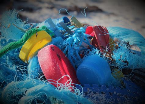 Plastic Pollution Solutions - Hollywood, Health and Society