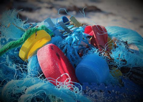 Plastic Pollution Solutions - Hollywood, Health and Society