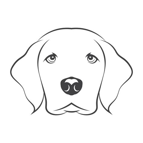 Labrador Retriever Head Isolated On White Background Abstract Dog Face