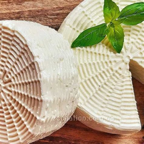 Сыры для HoReCa: в рестораны, пекарни, пиццерии. БЕСПЛАТНАЯ ДОСТАВКА ...