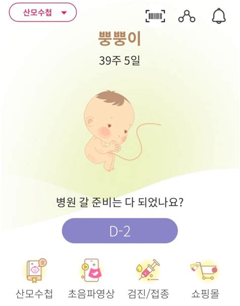 임신일기7 10개월 만삭임산부36 39주 출산휴가 맘마존완성 자연분만 39w5d 진통시작 네이버 블로그