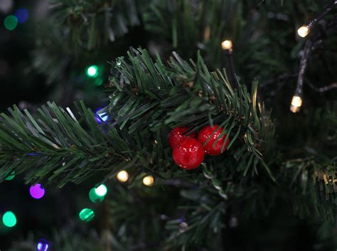 Nos vemos en diciembre Cuándo se desarma el árbol de Navidad según la