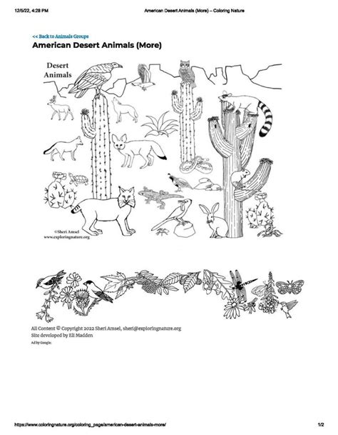 Desert Animals Coloring Sheet Desert Animals Coloring Desert Animals