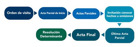 Procedimiento De Visita Domiciliaria Todo Asesores Stratego