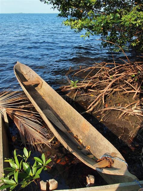 Amerindian Dugout Canoe Royalty Free Stock Photos Image