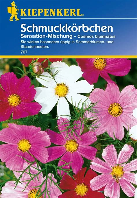 Kiepenkerl Cosmos Sensation Mischung 1 Packung Bloomling Österreich