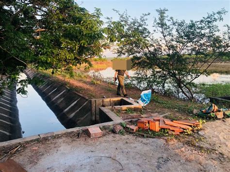 Homem Preso E Fazenda Multada Em R Milh O Por Crime Ambiental Em