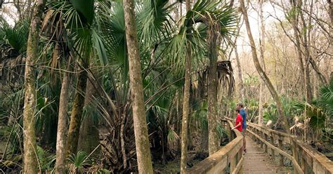 UNF Nature Trails: Another Way To Enjoy The Great Outdoors | Tamaya