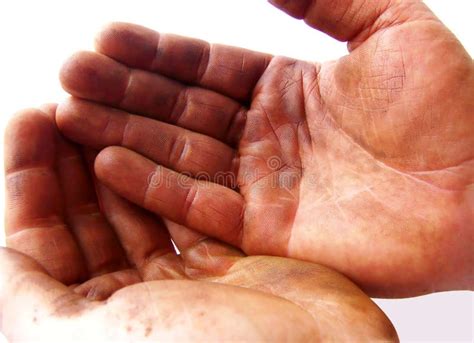 Greasy Hands Stock Photo Image Of Hygiene Reaching 19312116