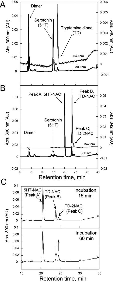 Analysis Of Essential Factors For Oxidation Of Ht By Mpo In The