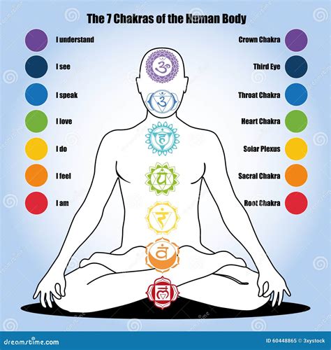 7 Chakras Of The Human Body Stock Vector Illustration Of Flower Ajna