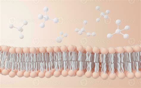 Homeostasis Stock Photos Images And Backgrounds For Free Download