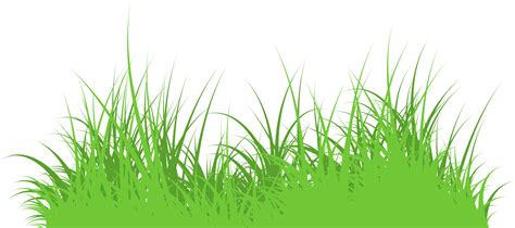 Grass Png Wild Grass Isolated 16583607 Png