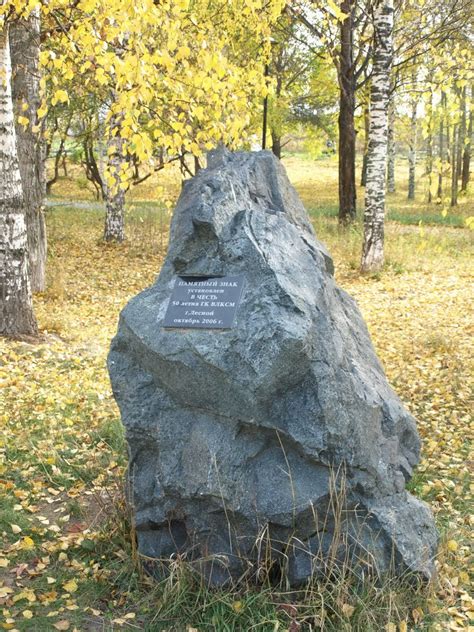 Фото Булыжник в городе Лесной
