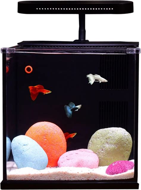 Amazon Qanvee Betta Nemo Fish Tank Small Aquarium Starter Kit