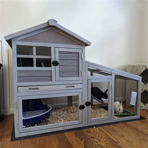 The Ultimate Guide About Buying A Rabbit Hutch - The Frisky