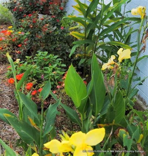 Summer Garden Tour 2024