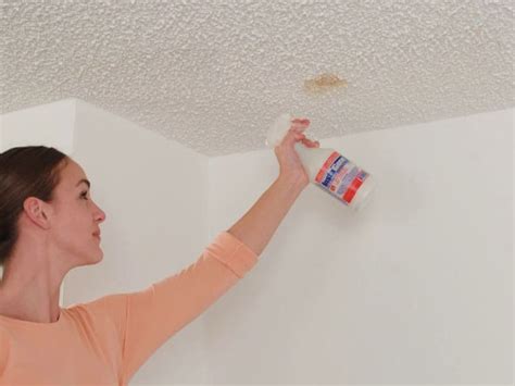 How To Clean Mouse Urine Stains On Ceiling