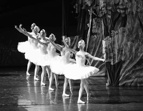 The Swan Girls The Last Scene Of Swan Lake Ballet Swan Lake Editorial Stock Image Image Of