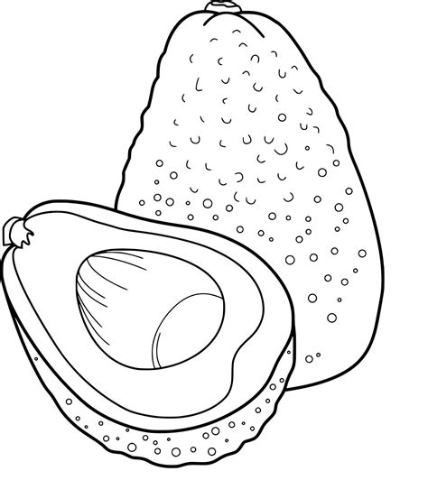 Avocado Fruit Coloring Page