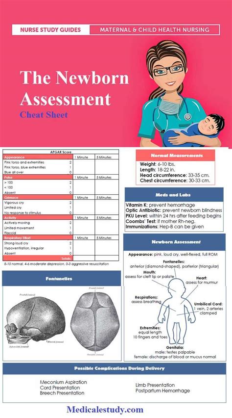 Step By Step Guide Newborn Physical Exam Template For Comprehensive