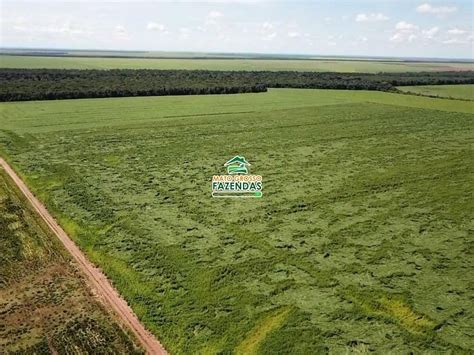 Mato Grosso Fazendas 500 Hectatares à venda no Norte do Mato Grosso