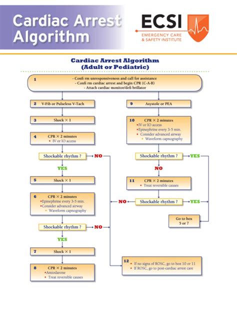 Cardiac Arrest Algorithm Adult Or Pediatric Printable Pdf Download