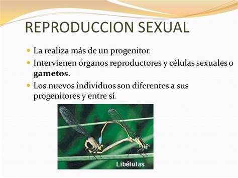 Sexual y Asexual Objetivos Diferenciar Reproducción Asexual y Sexual