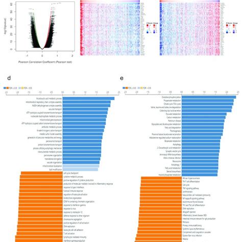 Cab L Co Expressed Genes And Functional Enrichment Analysis