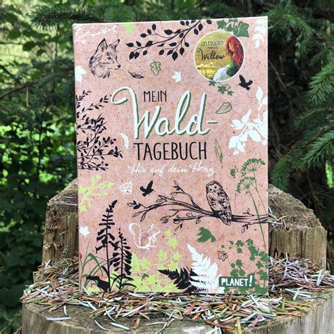 Kinderbuchblog Familienbücherei Ein Mädchen namens Willow Waldgeflüster