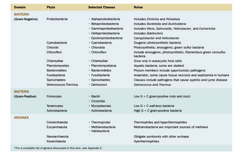 Text Domain Phyla Selected Classes Notes Bacteria Gram Negative Proteobacteria