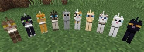 Minecraft Cat Breeding 101 Tips And Tricks For Success