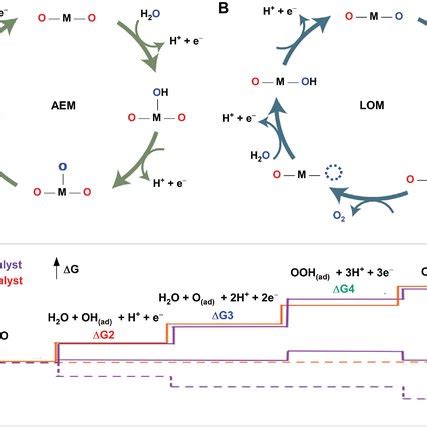 Pdf Oxygen Evolution Reaction In Alkaline Environment Material