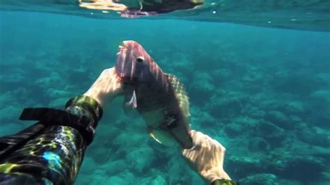 Spearfishing Hawaii Episode 1 Good One Youtube