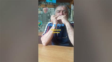 Табы губная гармошка ,,ой у лузі червона калина,, - YouTube