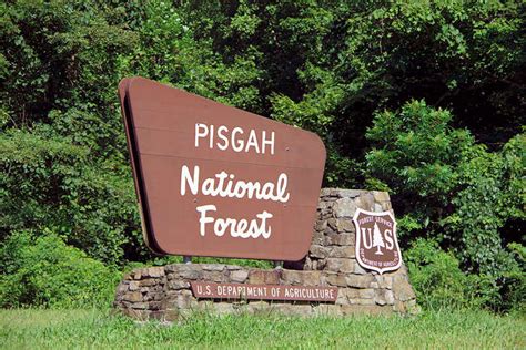 Pisgah National Forest, Asheville Camping and Hiking