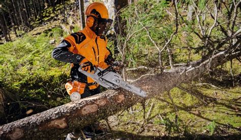 Stihl MS 291 Chainsaw Review: "Not The Worst, Not The Best"