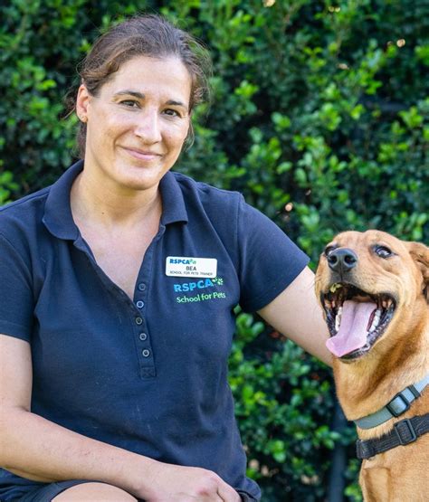 Join Our Team Rspca Australia