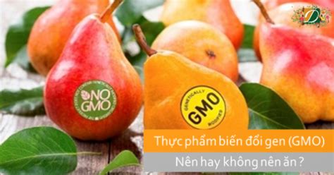 Thực phẩm biến đổi gen GMO có an toàn cho sức khỏe