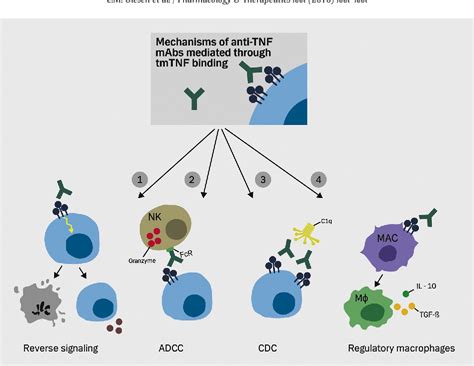 Figure From Mechanisms Behind Efficacy Of Tumor Necrosis Factor