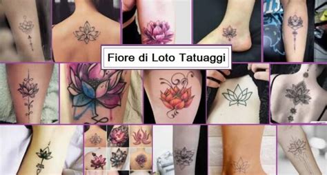 Fiore Di Loto Tatuaggio Significato Notizie In Vetrina