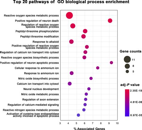 Gene Ontology Go Biological Process Enrichment Analysis Of Targets