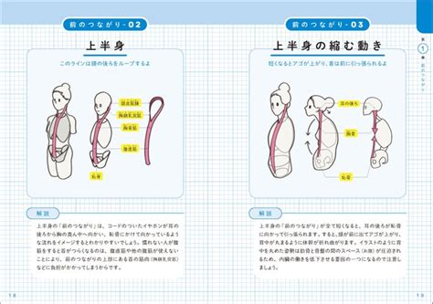 発売即3万部突破！「ここまでわかりやすい筋肉解剖の本は無い！」とsnsで話題沸騰！『世界一わかりやすい 筋肉のつながり図鑑』続々、重版中