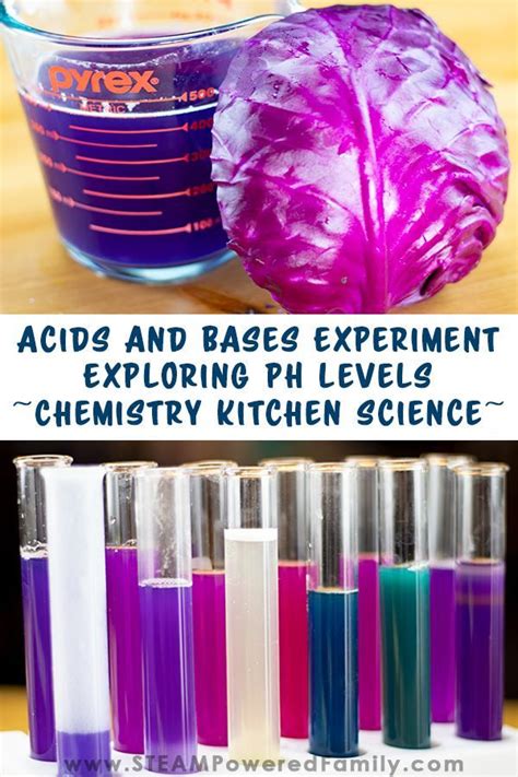 Acids And Bases Chemistry Experiment Exploring PH Levels Chemistry