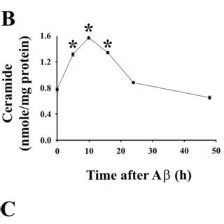 Aβ 25 35induced ceramide production and enhancement of Aβ cytotoxicity