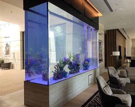 Residential aquariums — RedFin Aquarium Design | Wall aquarium, Home aquarium, Aquarium design